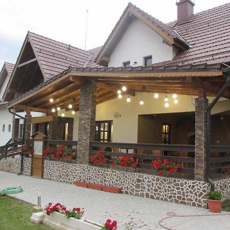 Hotel Nut House Retezat Nucsoara  Zewnętrze zdjęcie