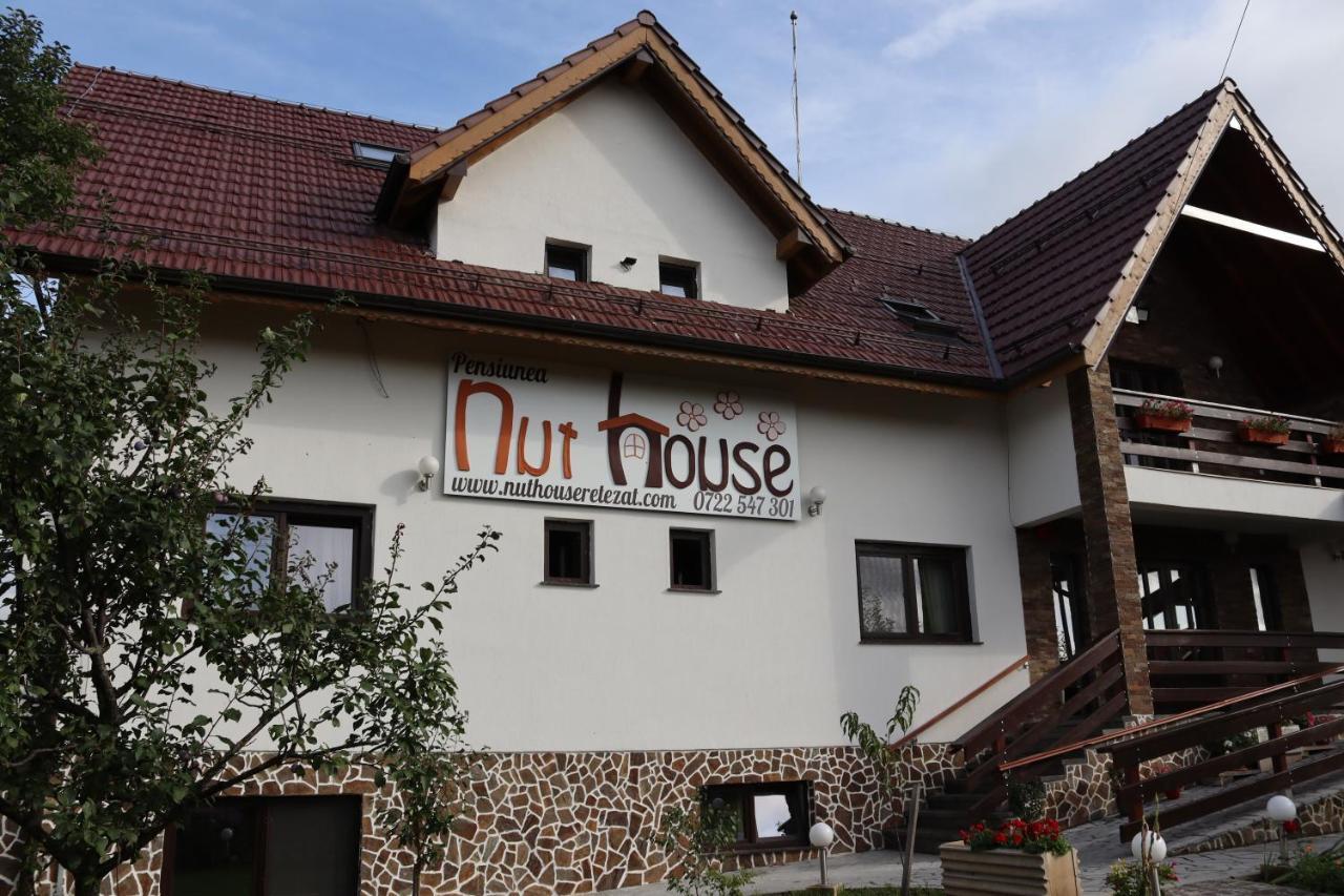 Hotel Nut House Retezat Nucsoara  Zewnętrze zdjęcie